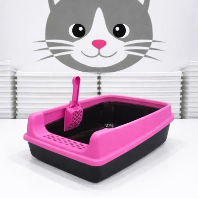 Pembe Kedi Kum Kabı